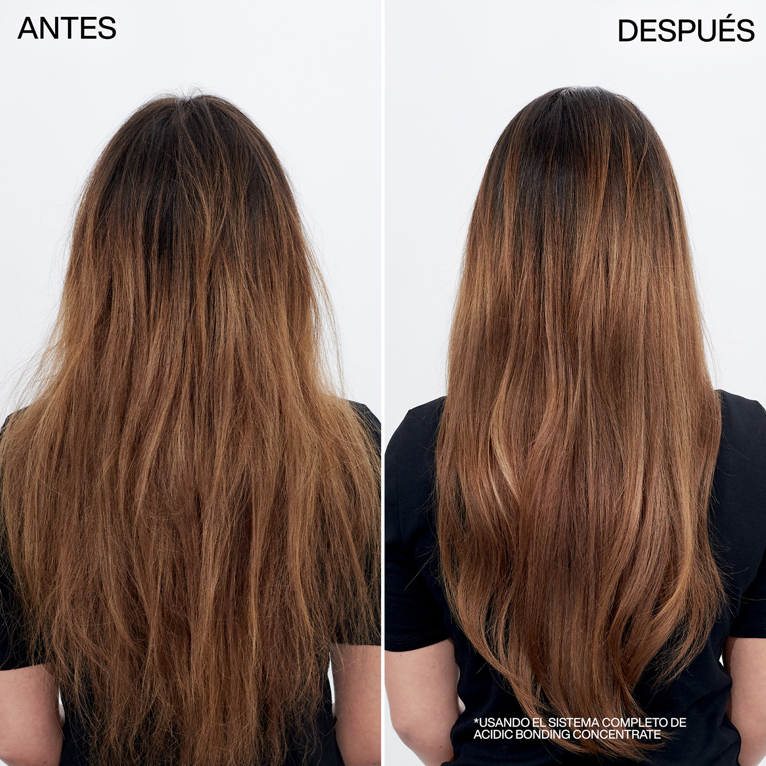 REDKEN ACIDIC BONDING CONCENTRATE SHAMPOO (SHAMPOO PARA CABELLO DAÑADO)